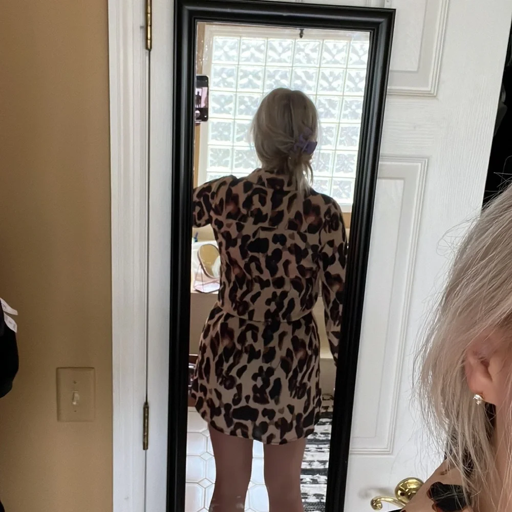 Cheetah Print Dress - Size 10 - Picture 3 of 5